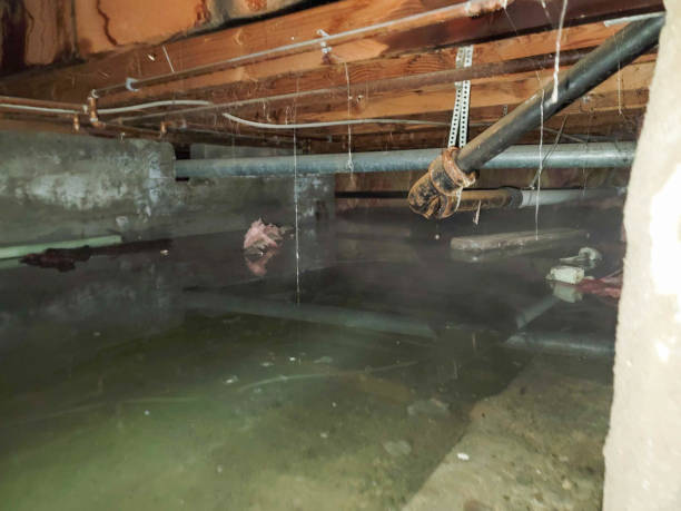 Best Flood damage cleanup  in Mystic, CT