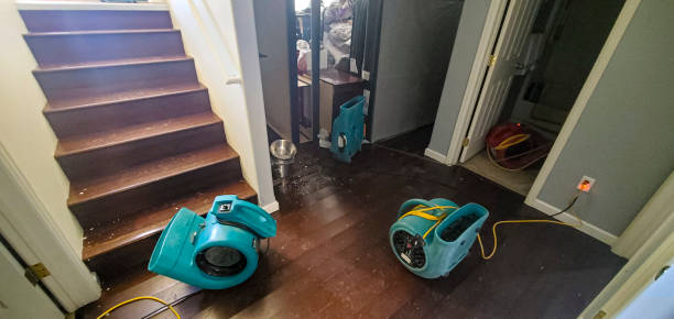 Best 24-hour water damage restoration  in Mystic, CT