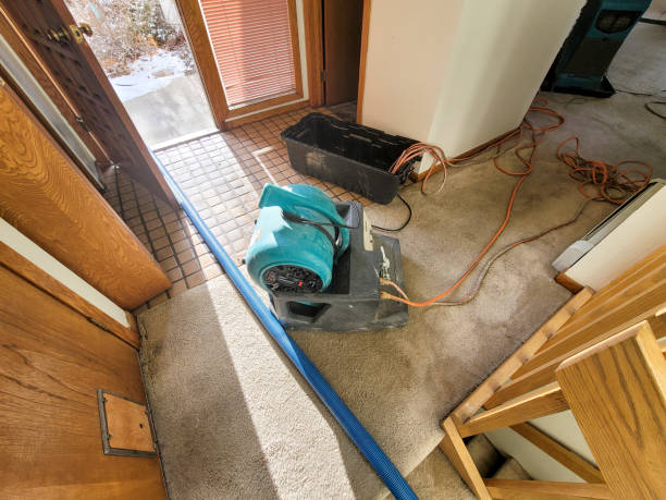 Best Water damage restoration near me  in Mystic, CT