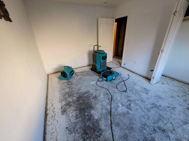 Best Fire Damage Restoration  in Mystic, CT