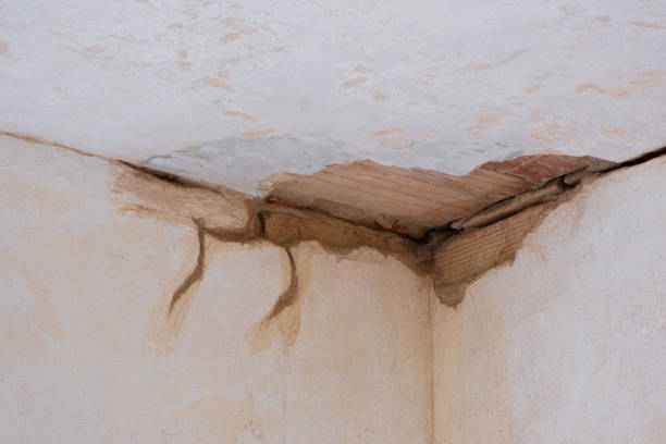 Best Water damage repair service  in Mystic, CT