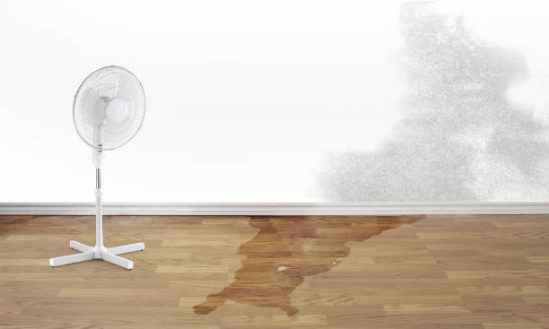 Best Emergency water damage restoration  in Mystic, CT