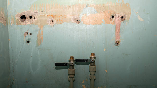 Best Water damage restoration near me  in Mystic, CT