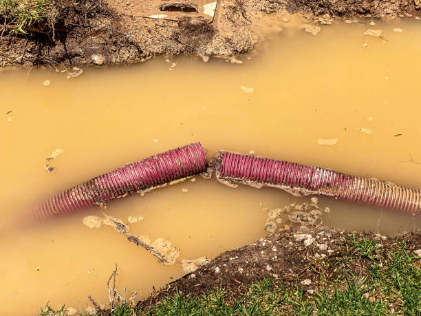 Best Basement water damage restoration  in Mystic, CT