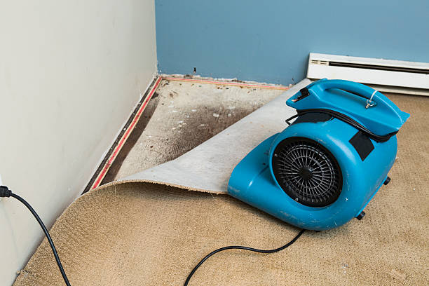 Best Water damage cleanup near me  in Mystic, CT